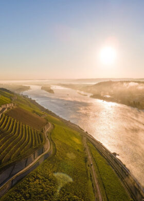 Rhein & Reben Tour